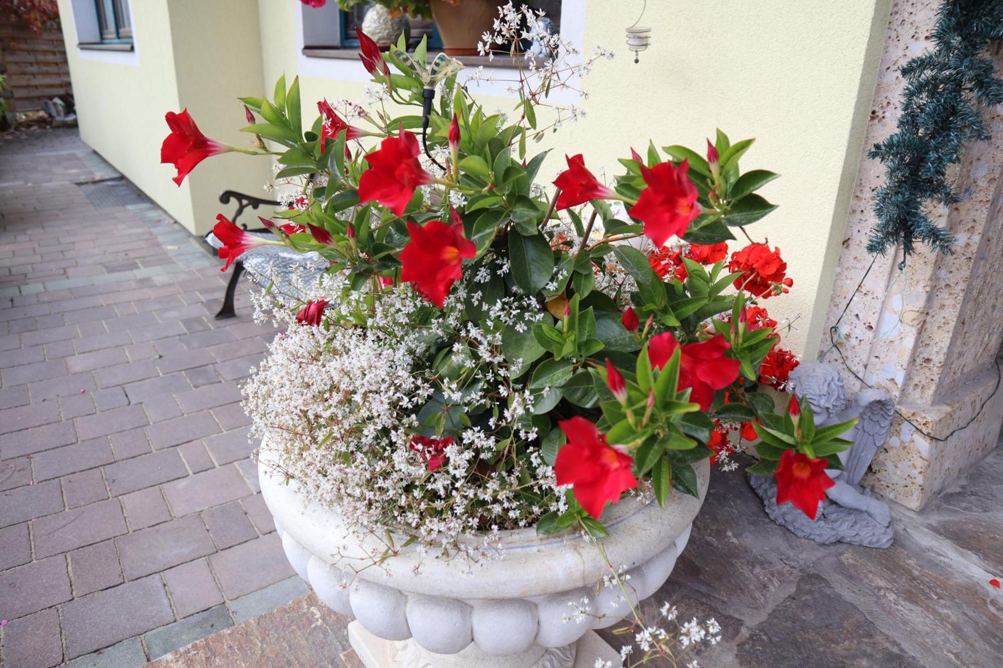 Landhaus-appartements Warraich * Schladming